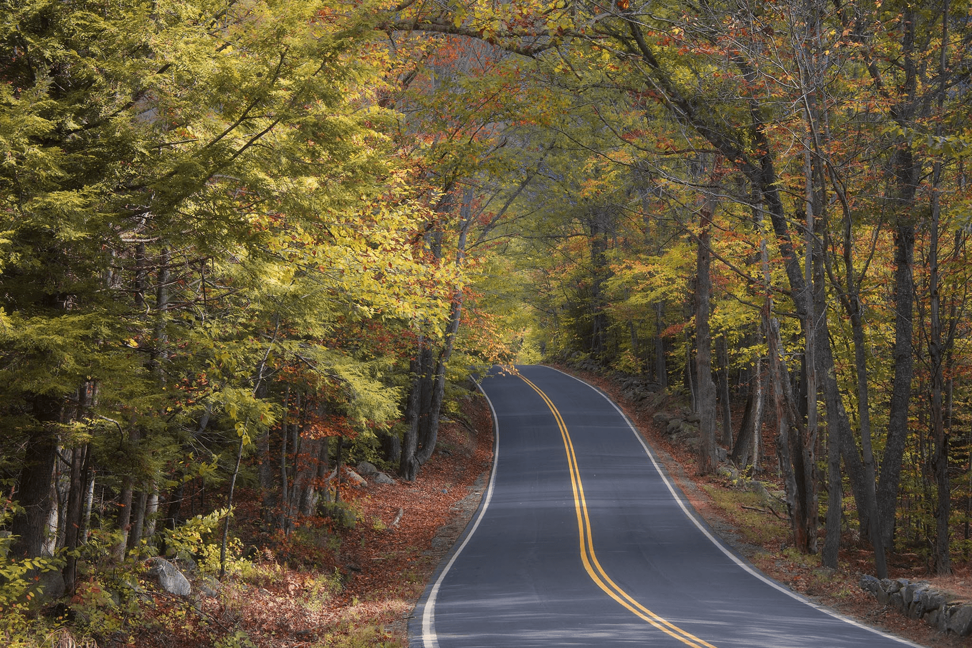 Open road